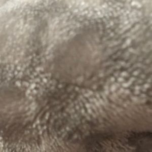 Meet your Posher, Aliah